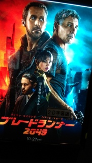 2049